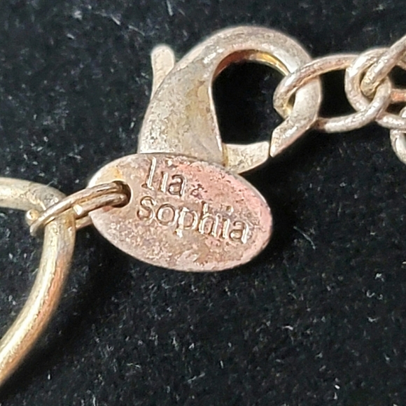 Lia Sophia Tigers Eye Stone Necklace - Picture 5 of 7